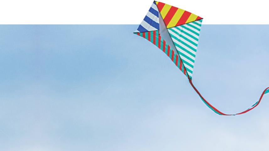 Kite