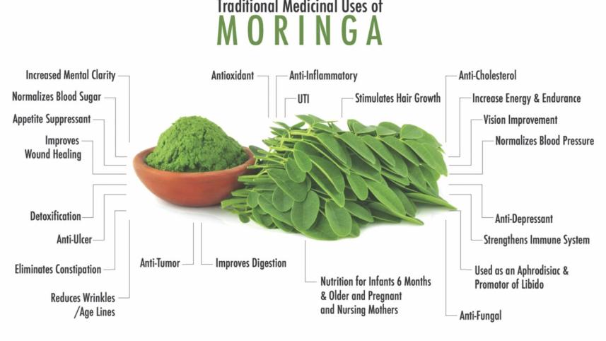 Know Dr Tree