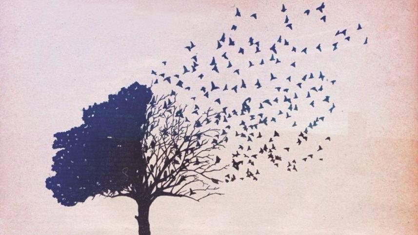 Letting go