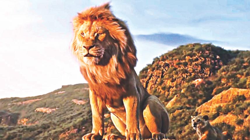 Lion.jpg