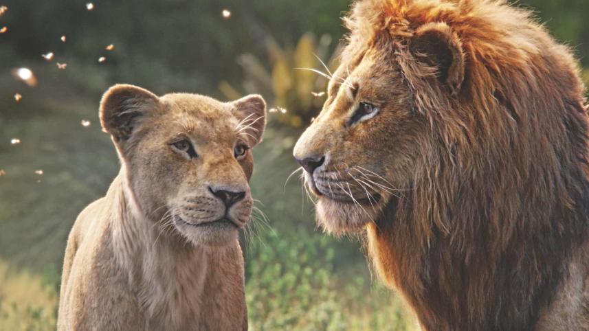 Lion.jpg