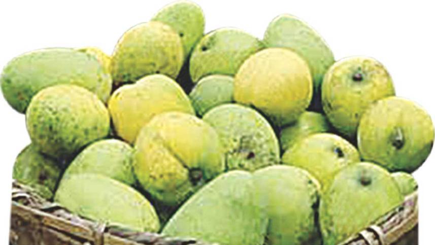 Mango
