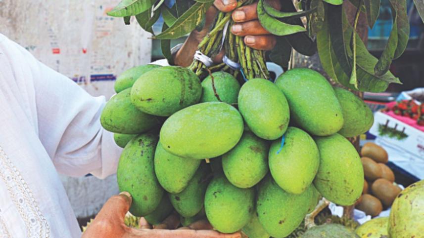 Mango.jpg