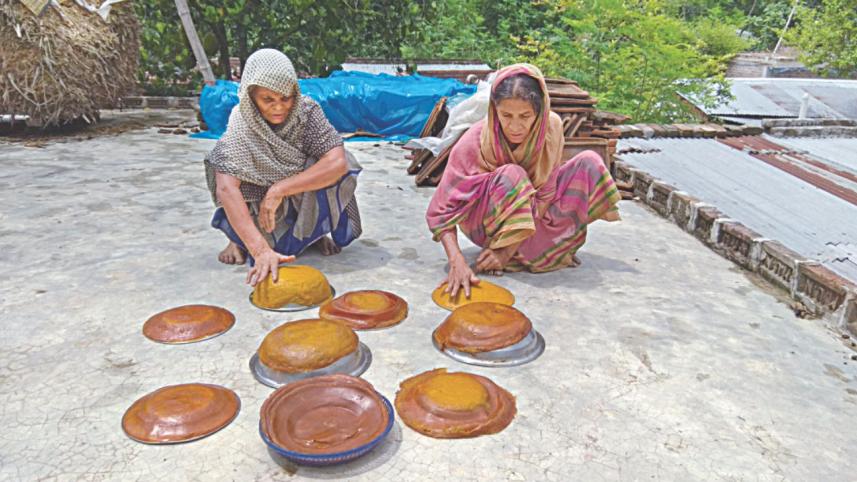 mango harvest.jpg