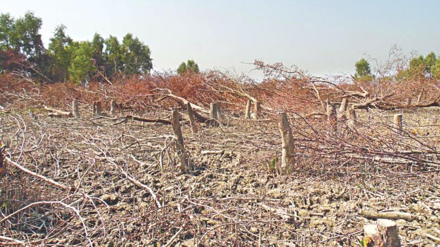 Manpura.jpg