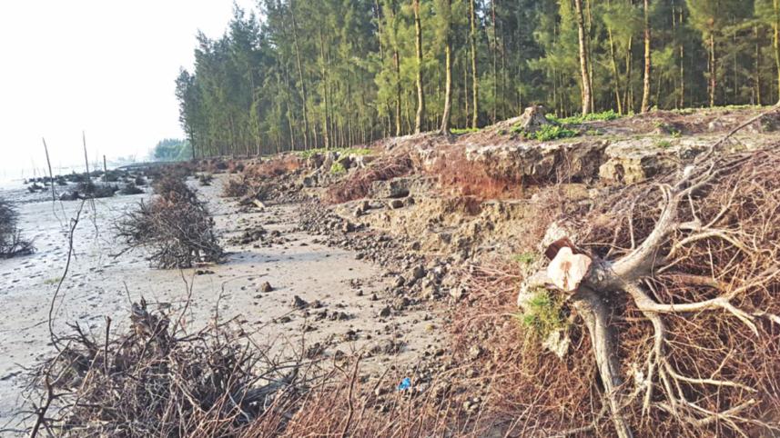 Meghna erosion.jpg