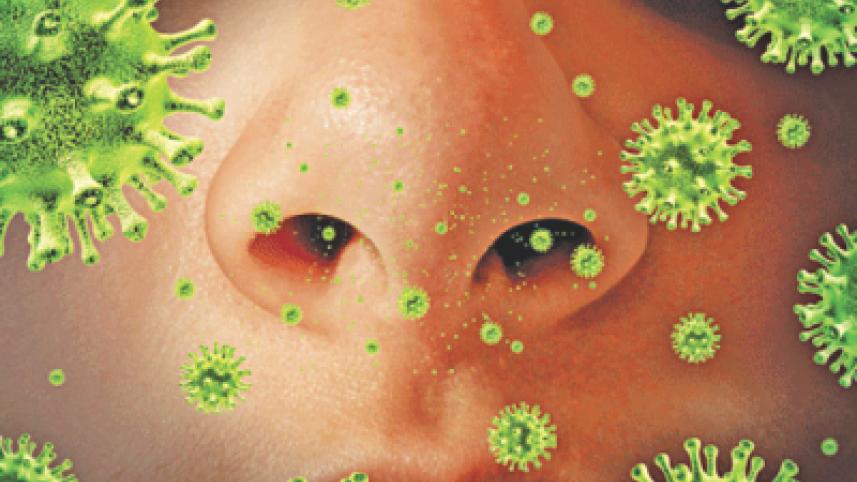 mers.jpg