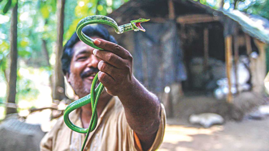 Milking the Snakes