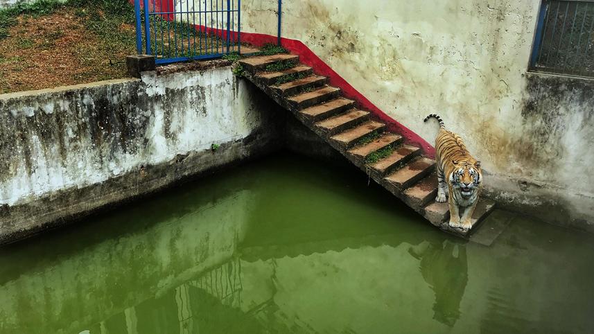 Mirpur zoo