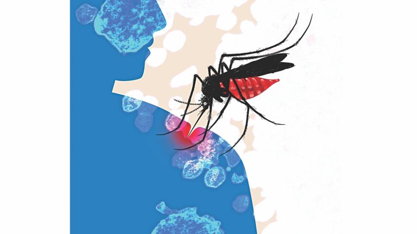 mosquito1.jpg