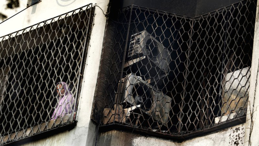 A woman looks out from the window