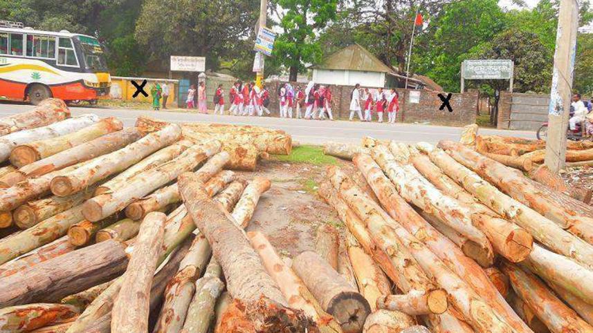 Nilphamari,-Illegal-saw-mil.JPG