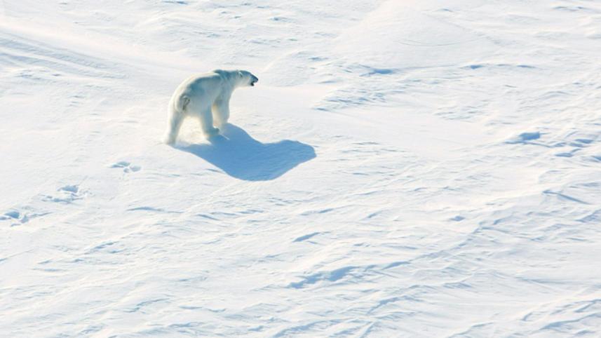 north-pole-afp2-wb.jpg