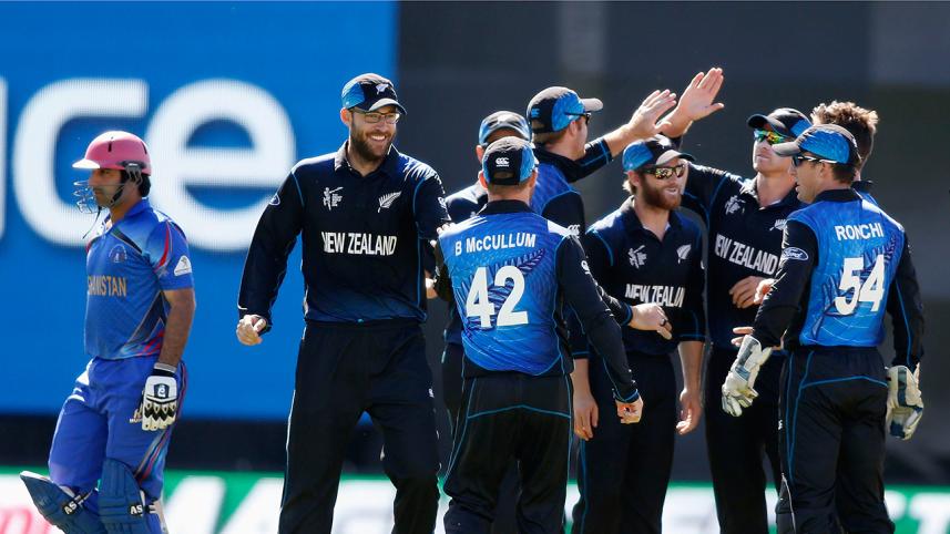 New Zealand's cricketers celebrate