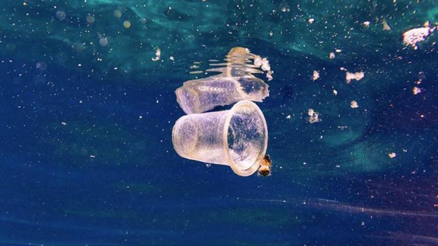 Ocean Plastic 