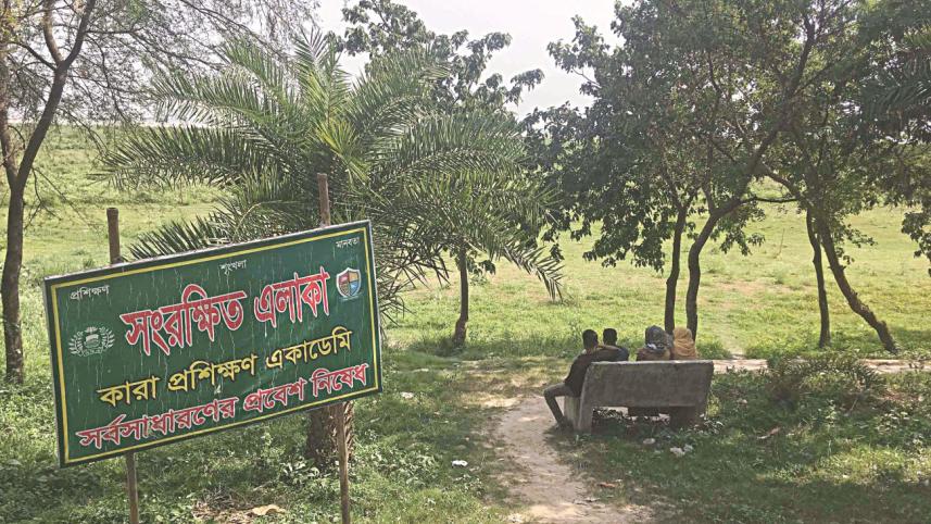padma char