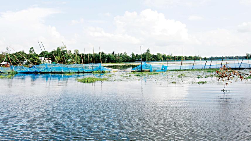 Paikora-of-Kalihati-upazila-1.jpg