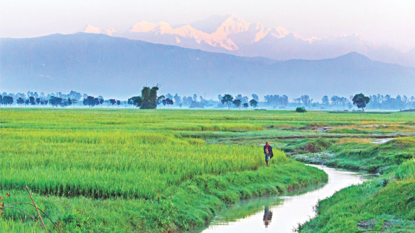 Panchagarh