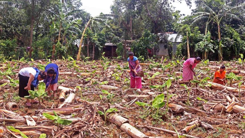 parlour-to-plantation.jpg