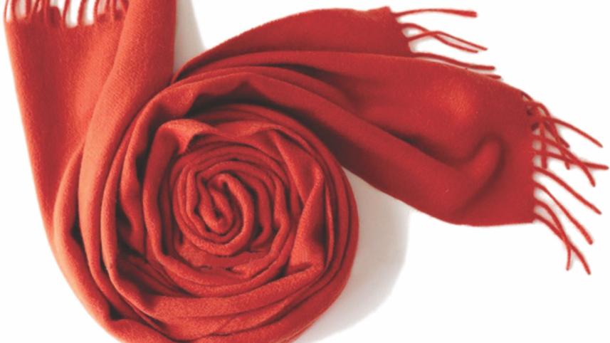 pashmina.jpg