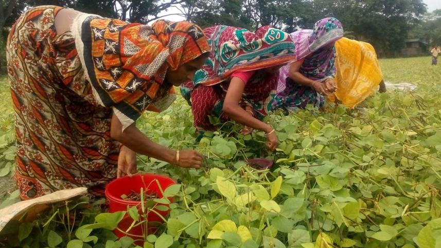 Patuakhali
