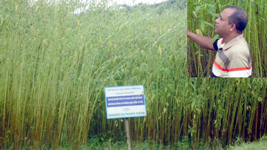 Patuakhali.jpg