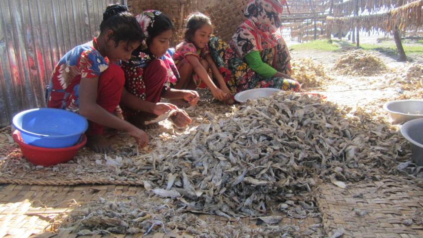fish to dry
