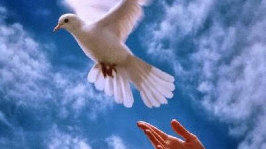 peace.jpg