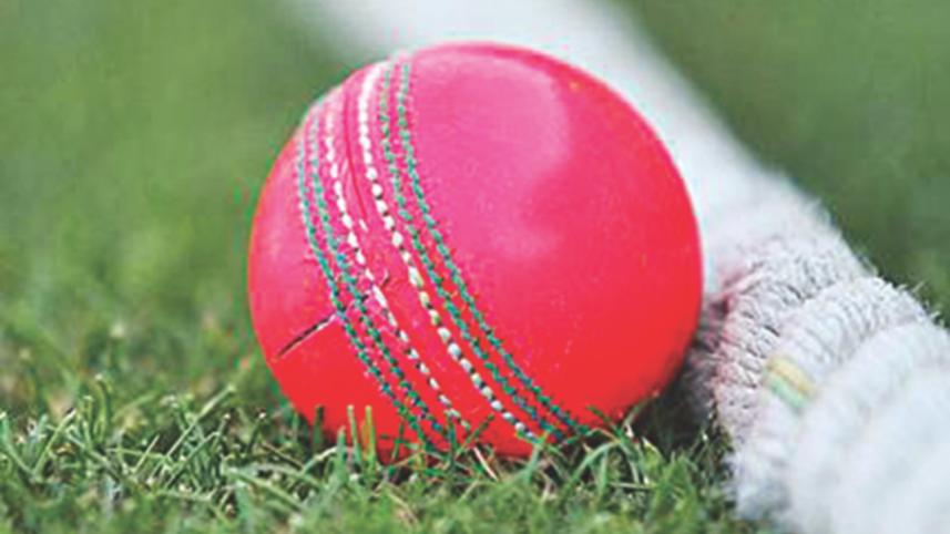 pink ball.jpg