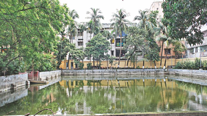pond 1.jpg
