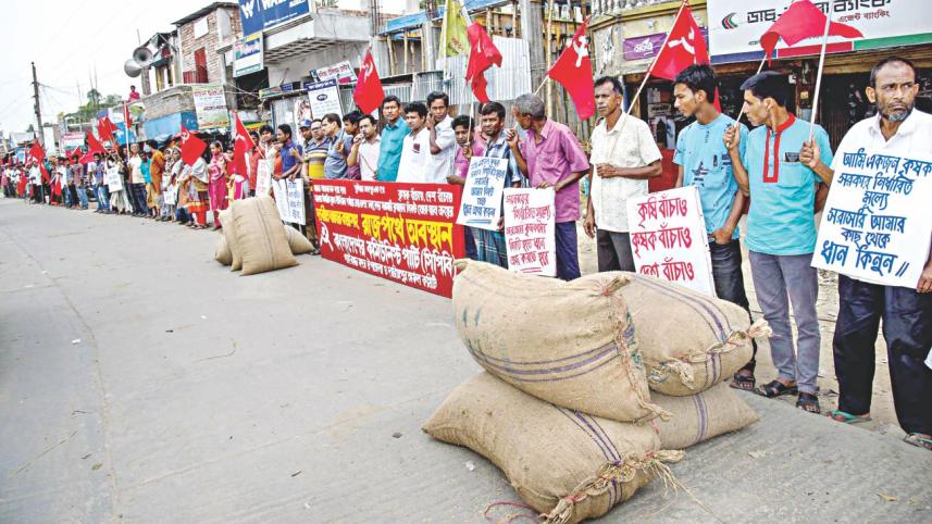 price of paddy.jpg