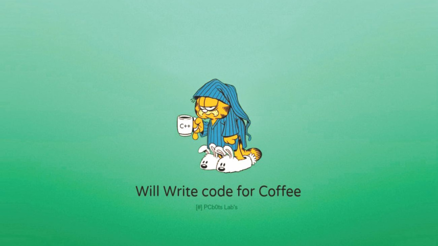 Programmer
