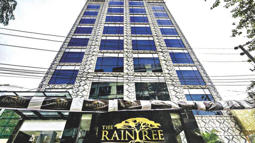 raintree.jpg