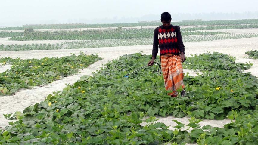 Rangpur farmers.jpg