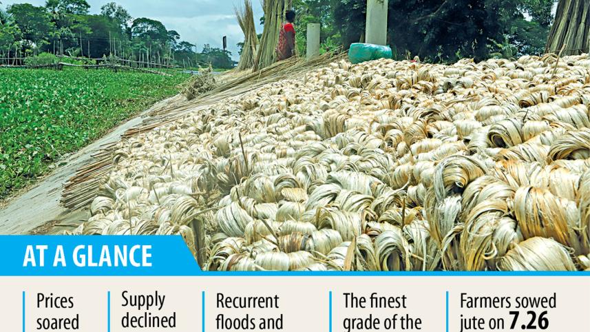 Raw-jute.jpg