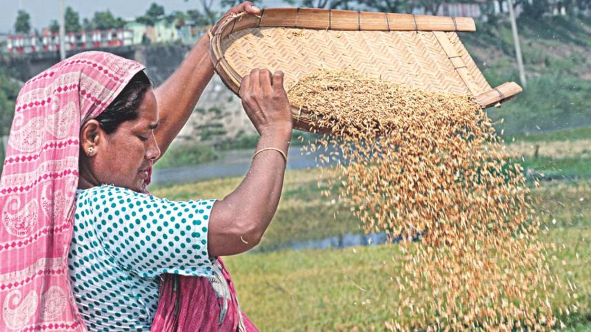 rice seeds.jpg