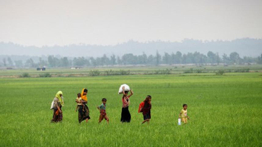 Rohingya refugees, Myanmar, Bangladesh, Landmines, 