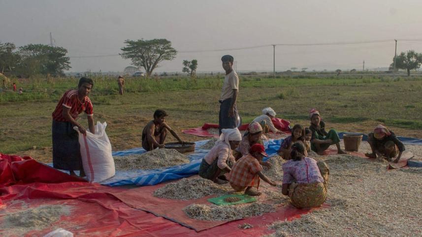 rohingya.jpg