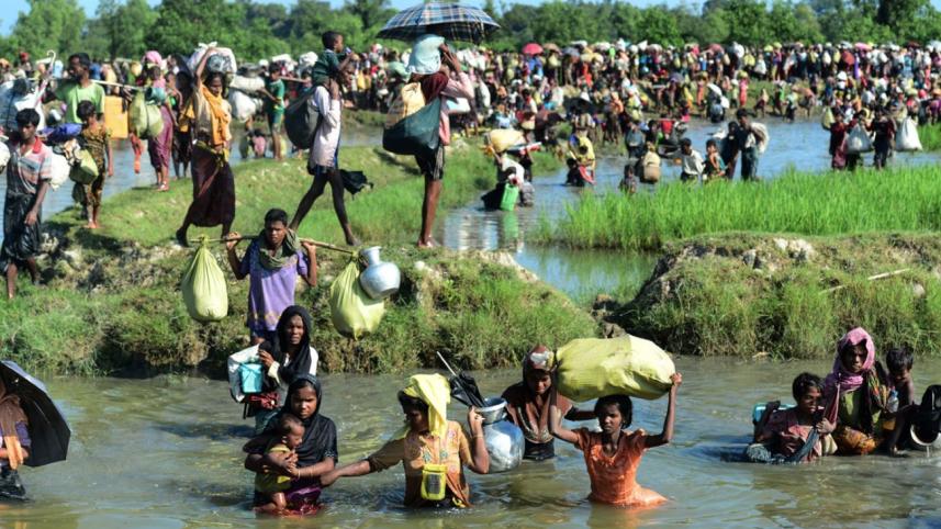 Rohingya