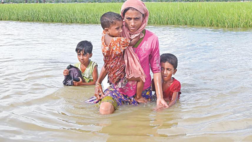 Rohingya influx again