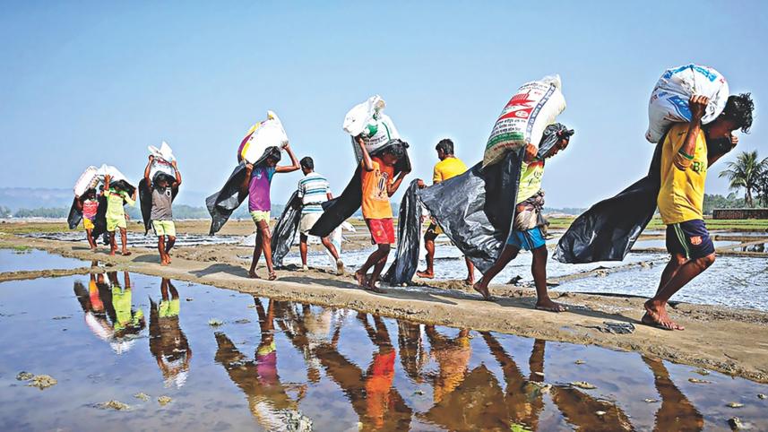 rohingya crisis.jpg
