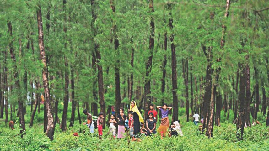 Rohingya refugees