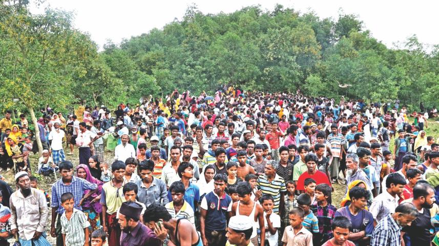 Rohingya crisis
