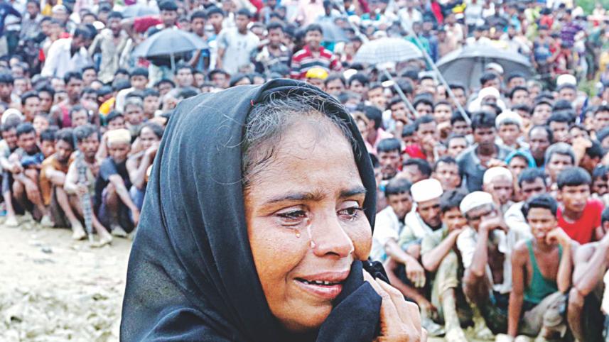 rohingya suffering.jpg