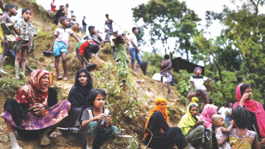 Rohingyas damage forest