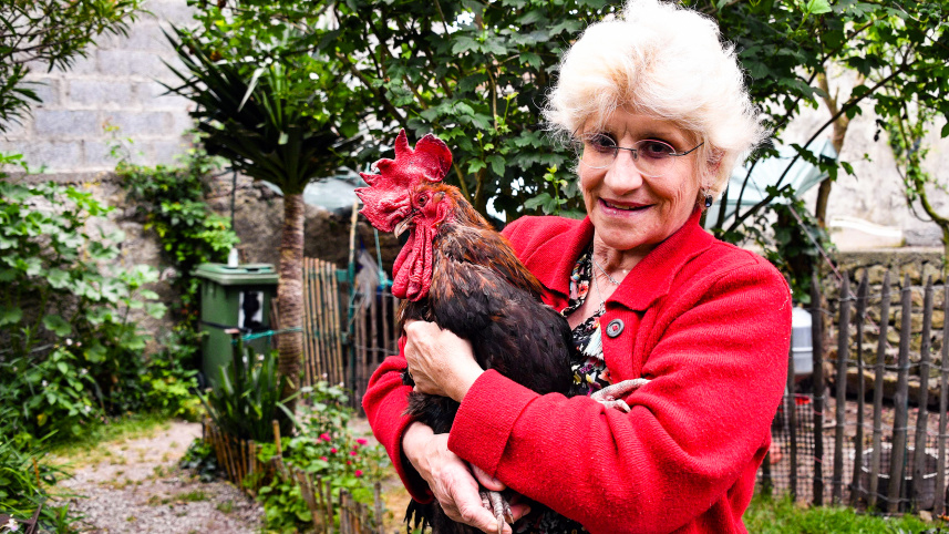 Rooster.jpg