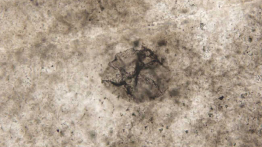 sciencedaily