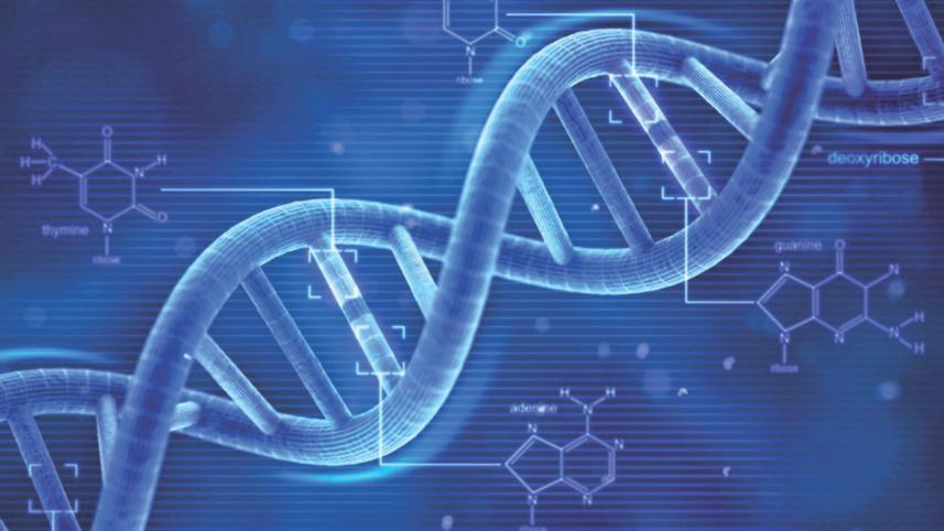 scientific discoveries