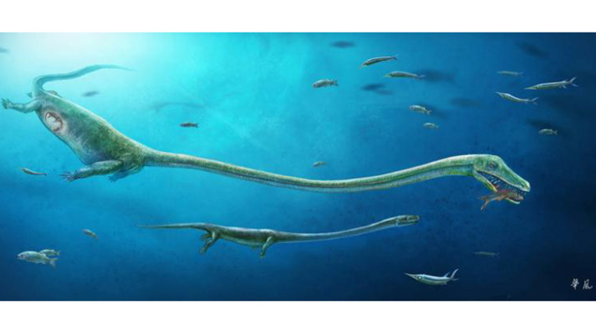 Sea-MonsterWB.jpg