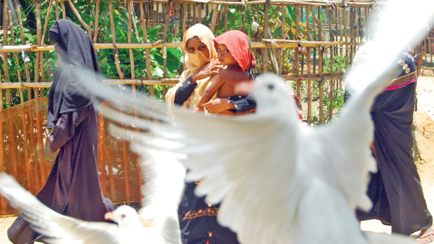 snapshot.jpg